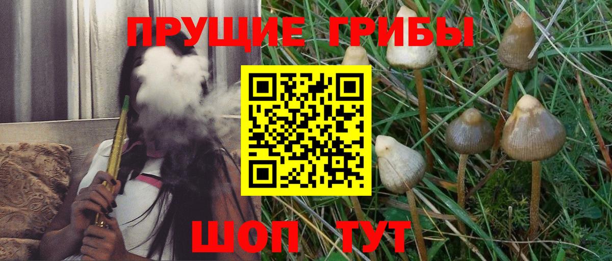 Псилоцибиновые грибы мухоморы  Псилоцибиновые грибы Cubensis  Вход с VPN  Похвистнево 